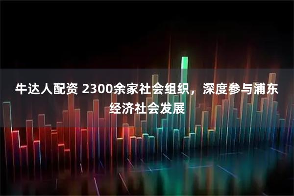牛达人配资 2300余家社会组织，深度参与浦东经济社会发展