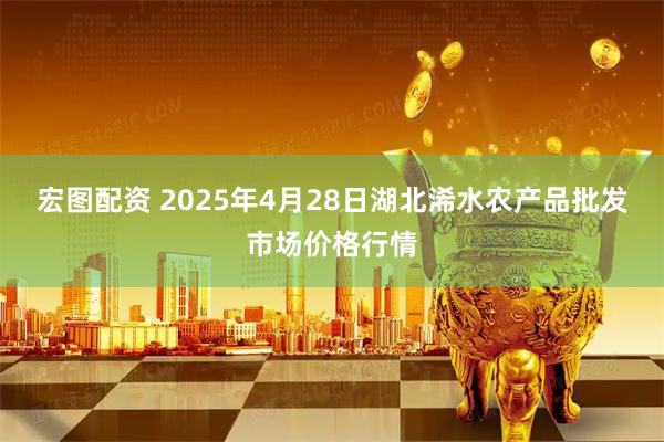 宏图配资 2025年4月28日湖北浠水农产品批发市场价格行情