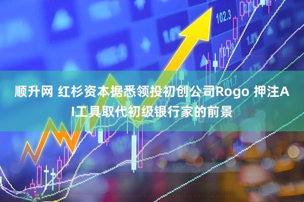 顺升网 红杉资本据悉领投初创公司Rogo 押注AI工具取代初级银行家的前景